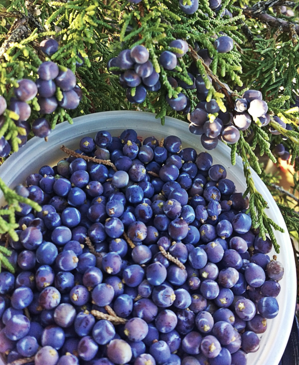 Saratoga Juniper Salve