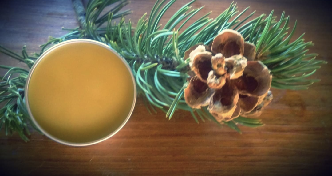 Cut n Shoot Piñon Pine Salve