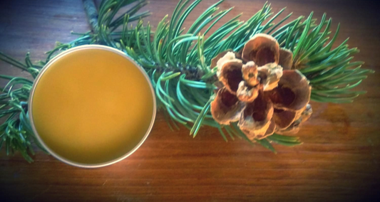 Cut n Shoot Piñon Pine Salve