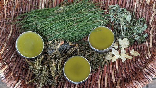 Abeto (Spruce + Fir) Salve