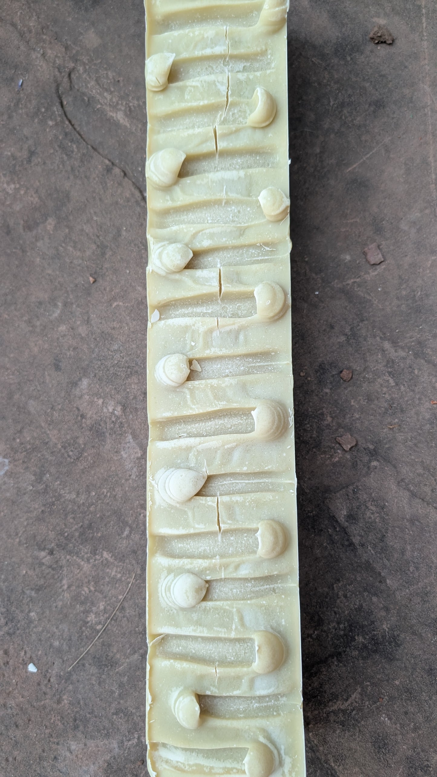Horchata Latte Soap